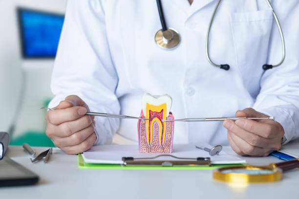 Best Mobile Emergency Dentist in Monument, CO